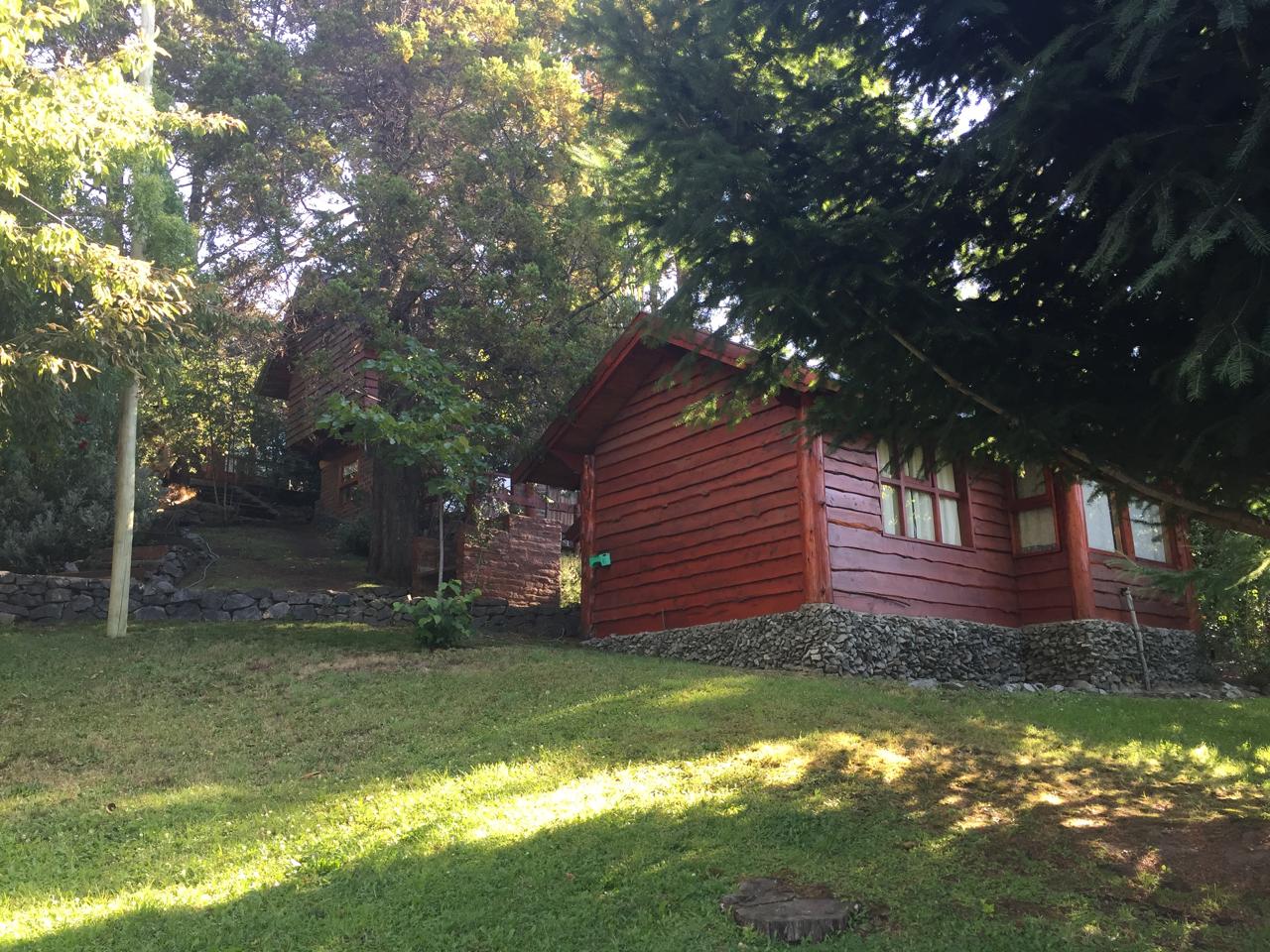 Lawn and shade from the trees