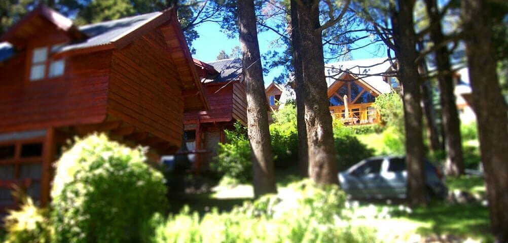 Among pines and cypresses