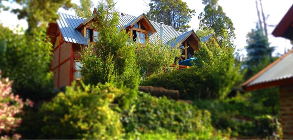 The cabins and the garden