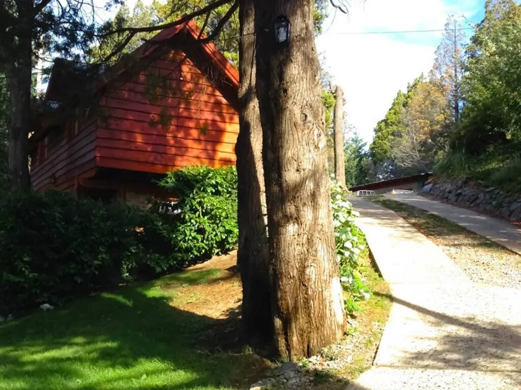 The path through the trees