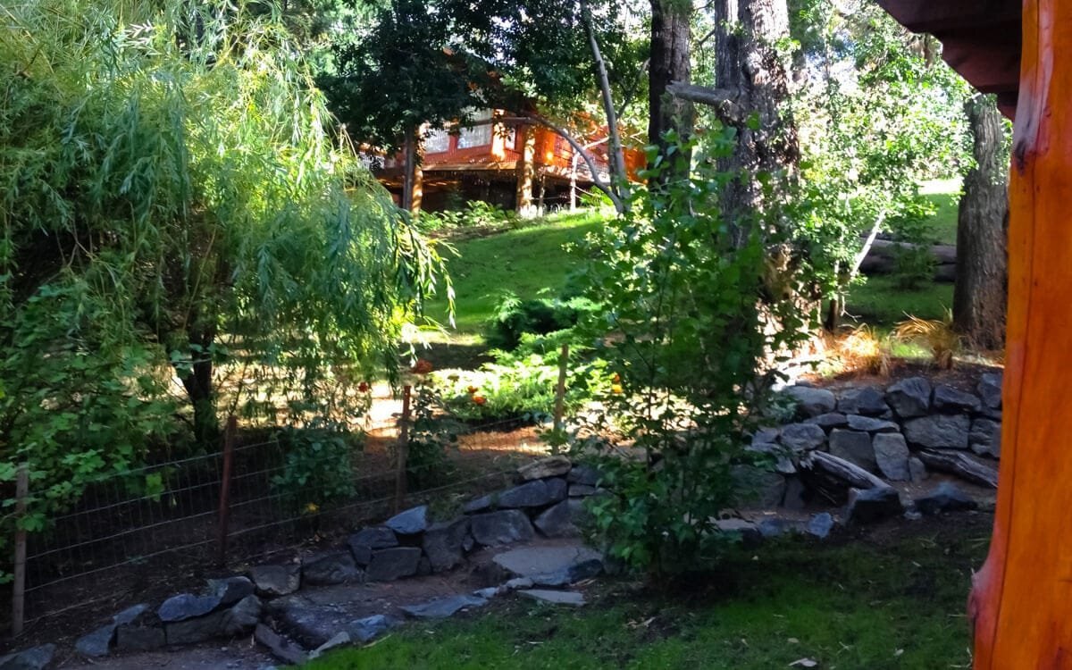 The garden